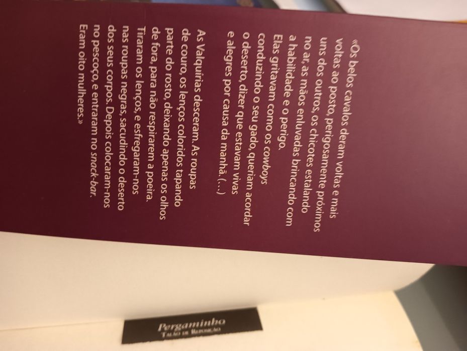 As Valquírias	Paulo Coelho	- Novo!!*