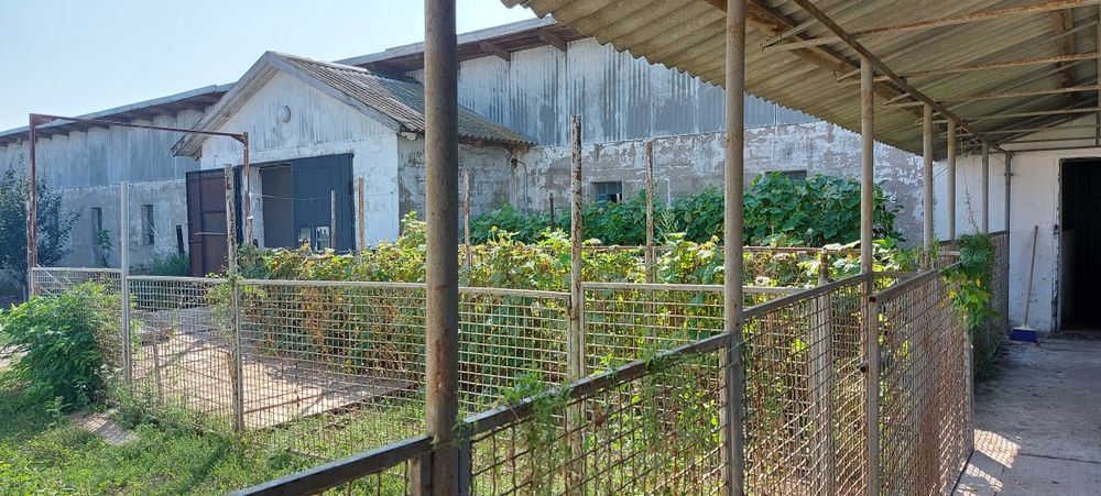 Продам ферму хозяйство ранчо