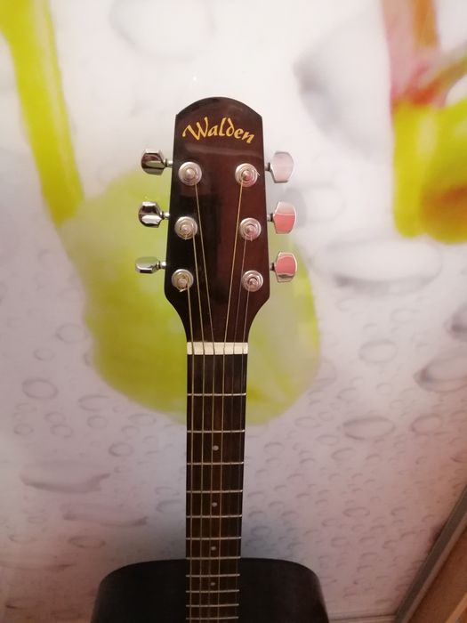 Гитара Акустическая Walden D 351