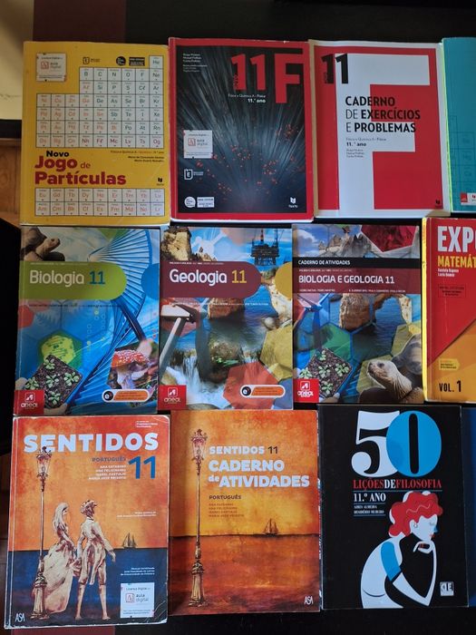 Manuais e cadernos de atividades escolares 11⁰ ano