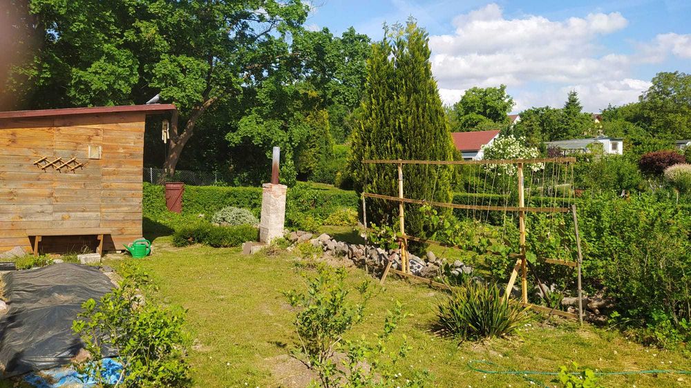 Działka ROD na sprzedaż