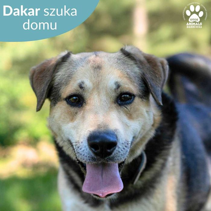 Dakar czeka na Ciebie