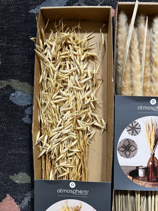 Decoração flores /plantas