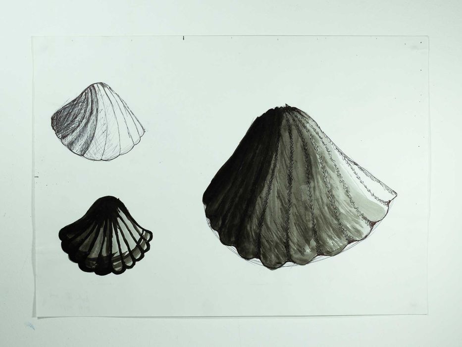 Arte - Desenhos/ Pinturas