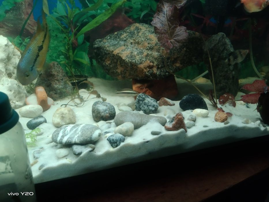 Продам акваріумний кварцовий пісок