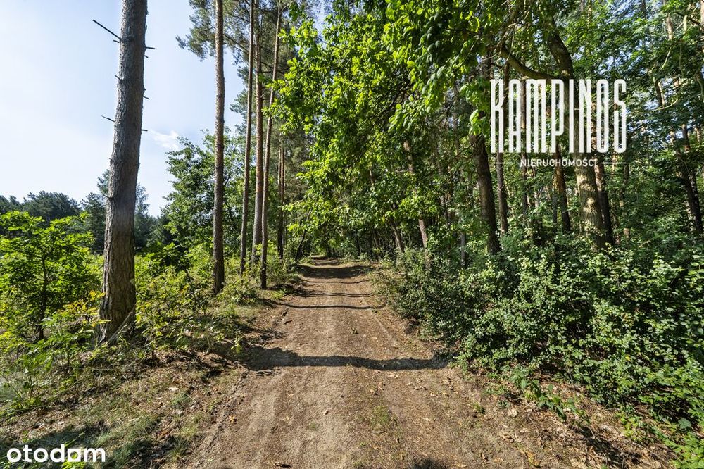 Unikalna działka budowlana przy KPN