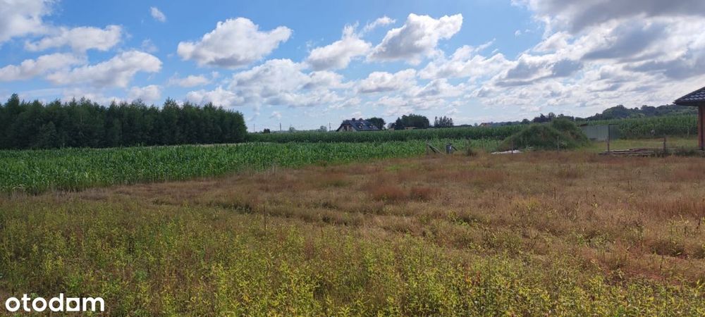 Działka budowlana 3000 m2 Brody Małe /Płock.