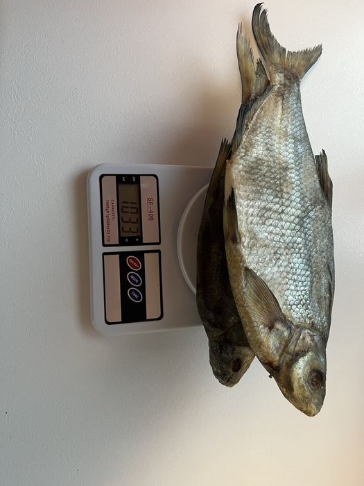 Лящ сухой посол 250грн крупный 063269О32