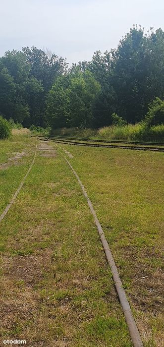 Działka, Zabrze