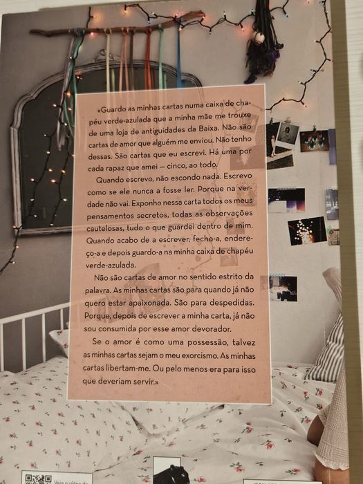 A todos os rapazes que amei