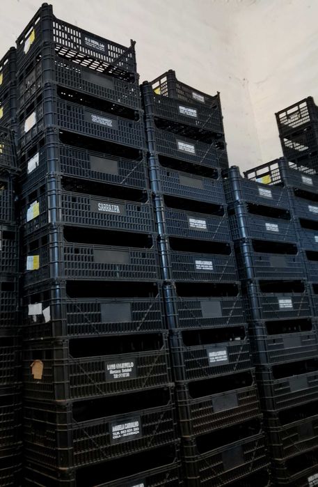 Caixas de Plástico em Bom Estado