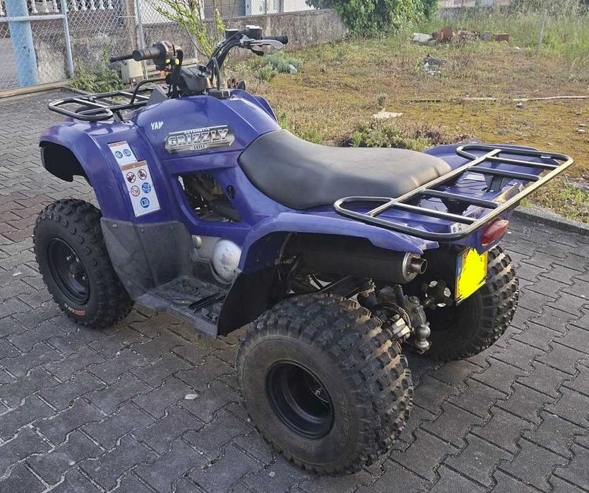 Moto4 Yamaha Grizzly 300 (14)