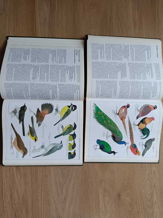 Moderna enciclopédia de animais