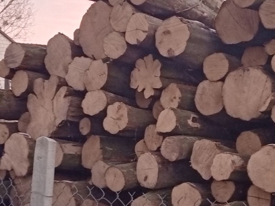 Drewno Opał, Kominkowe NAJTANIEJ !!