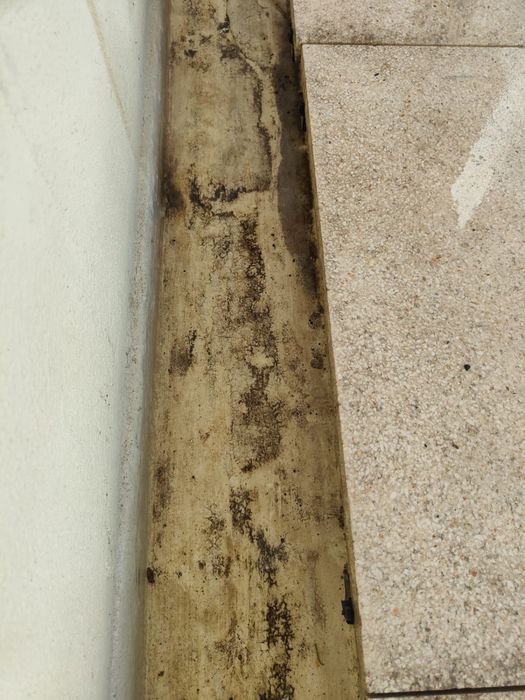 Limpeza de algerozes