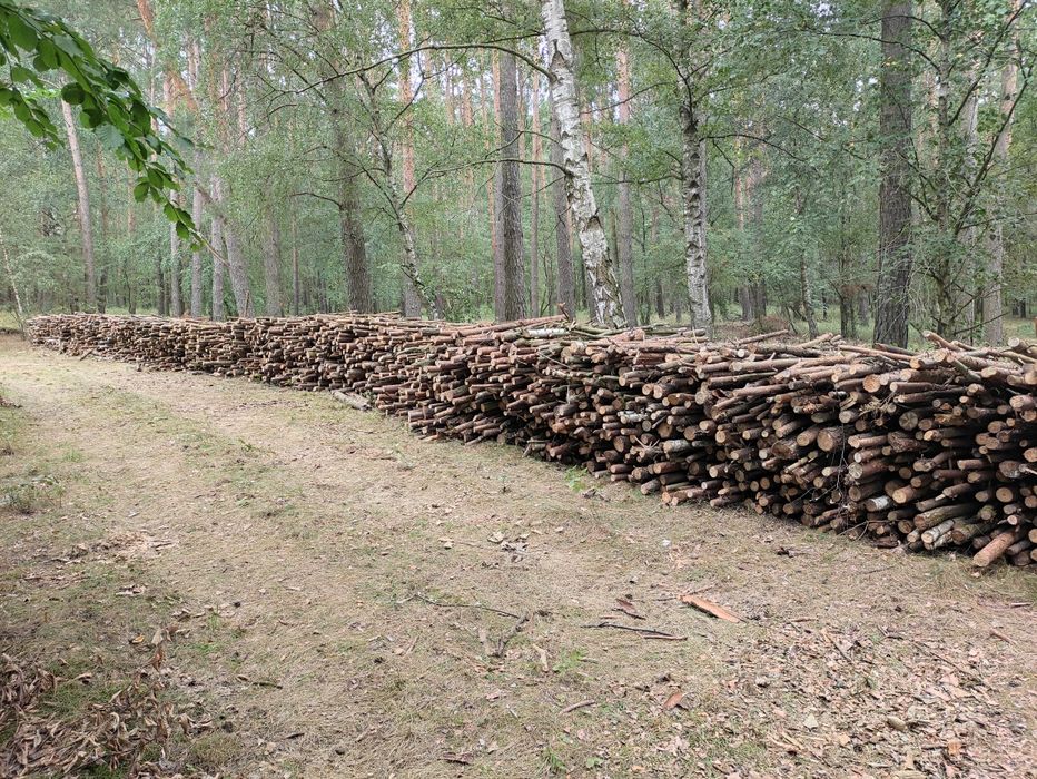 Drewno opałowe liściaste dąb/buk/brzoza