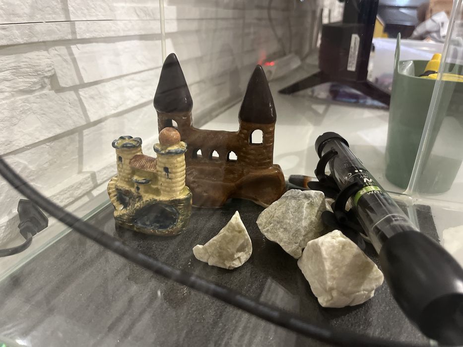 Akwarium dla rybek Bojownika wraz z wyposażeniem