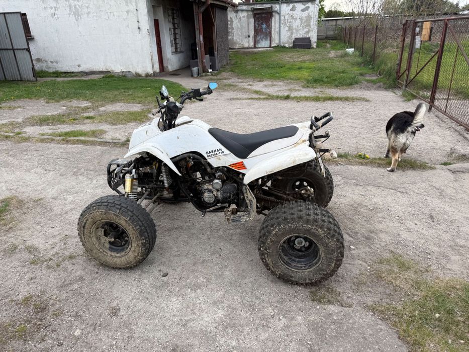 Quad bashan 250