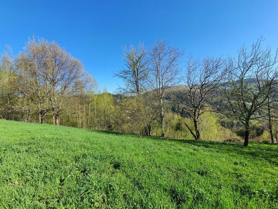 Продам землю в Яворові: 3 га та 25 соток