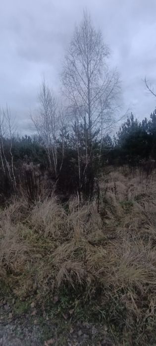 Продам земельну ділянку Іванівка.