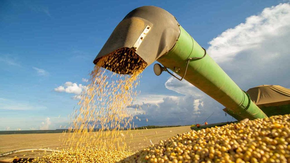 Grãos, Açúcar, milho, soja, óleo