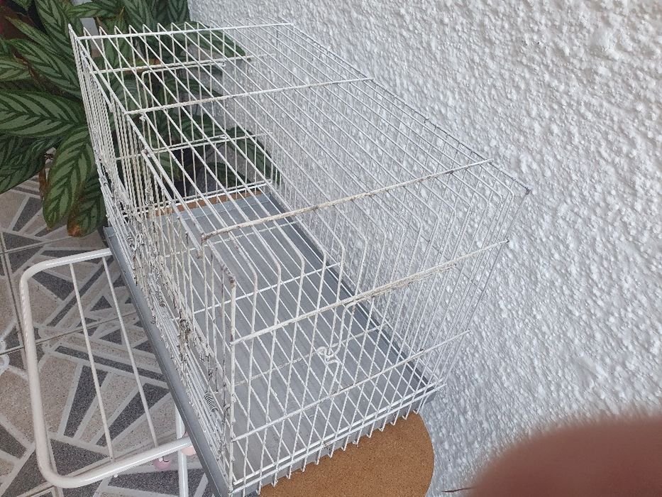 Gaiola com 40x27x23cm para canários  4 portas,4 alimentadores, disponível 4 unidaddes
