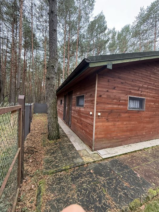 Sprzedam domek z dzialka 3600 m² Poraj - Widok 5