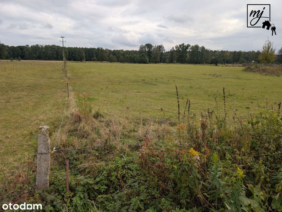 Działki budowlane cicha dobra lokalizacja
