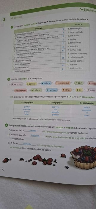 Caderno atividades  versao professor