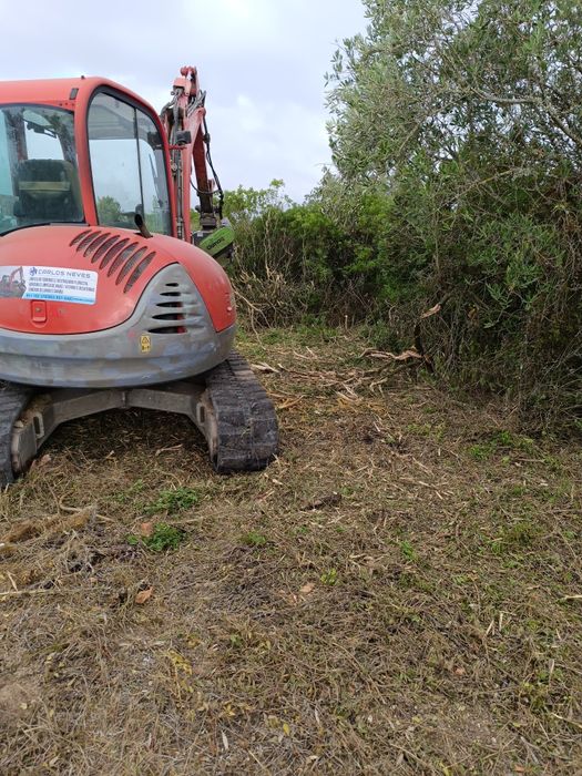 Serviços de Bobcat ( destroçador florestal)