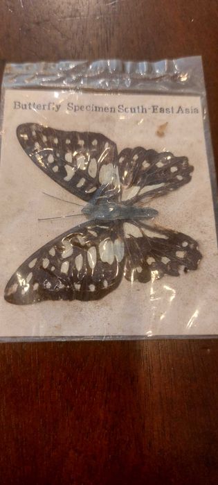 Artigos coleção, isqueiro, borboleta, cartão PMB de BFB, calendários