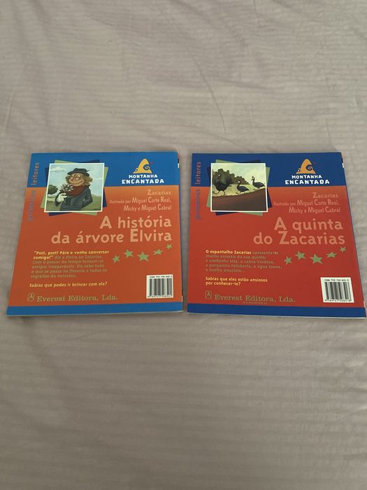 Livros Zacarias - montanha encantada