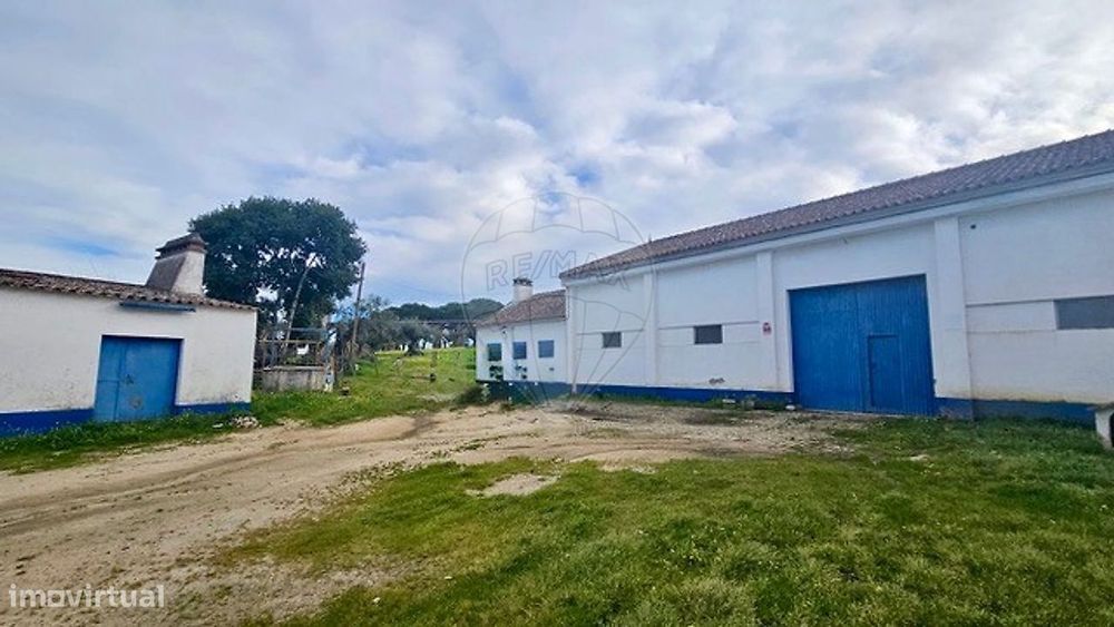 Quinta T3 para venda