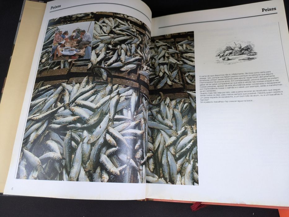 Cozinha Regional Portuguesa de Maria Odette Cortes Valente