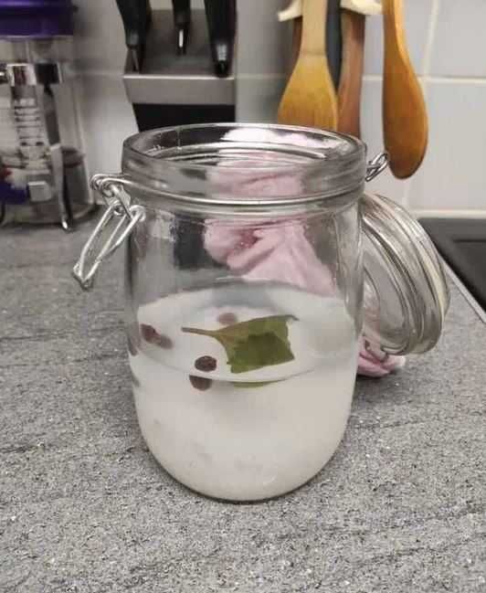 Kryształki japońskie do tworzenia domowej roboty napoju prebiotycznego