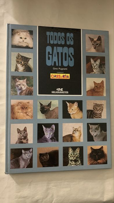 Todos os Gatos - Gino Pugnei