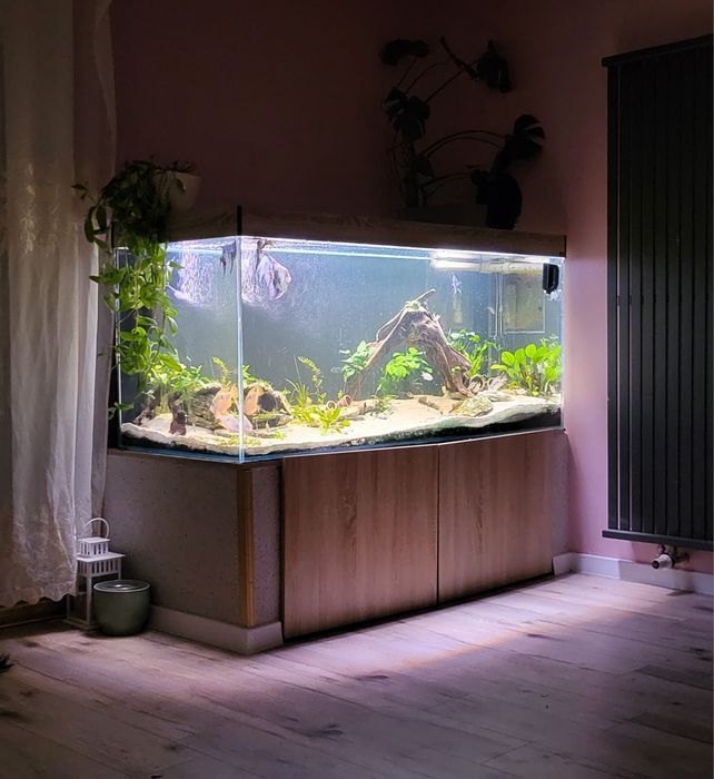 Akwarium 750 l 165x65x70h szkło Guardian