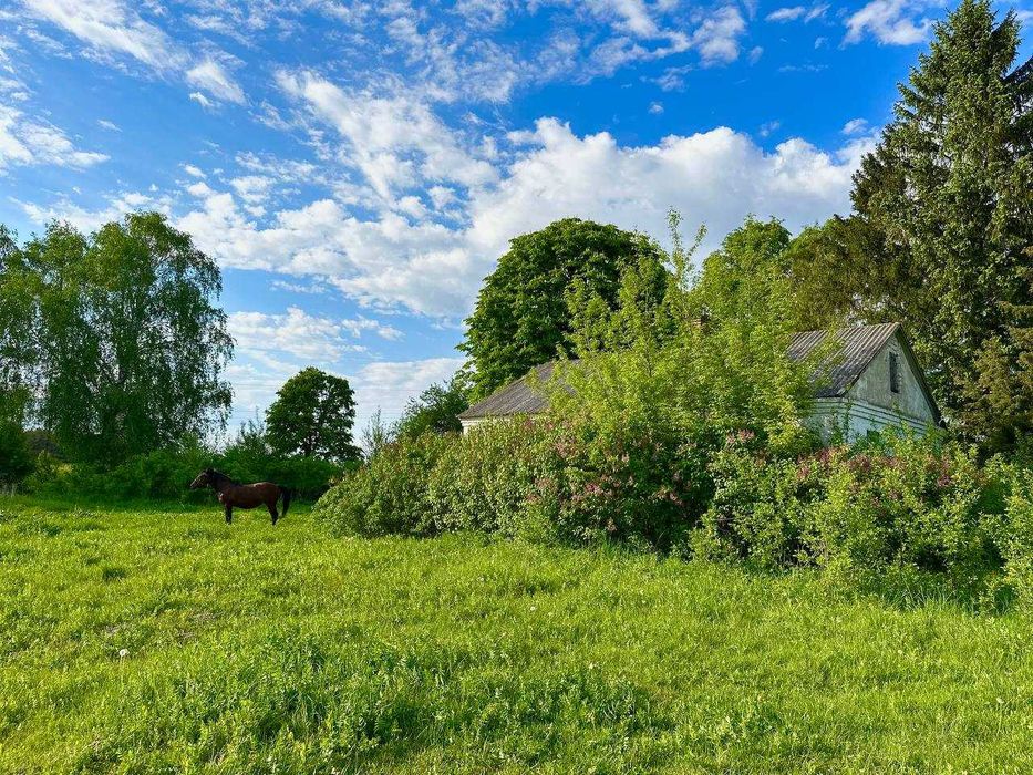 Розкішна, величезна ділянка з будинком, річкою та ставом (Луцький р-н)
