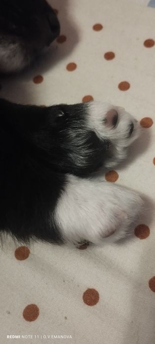 В самі добрі ручки, маленька солоденька булочка