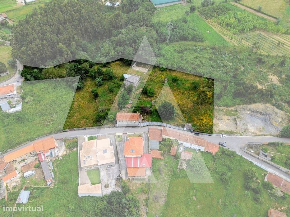 Quinta com moradia T2 para recuperar em Fermelã - Estarreja