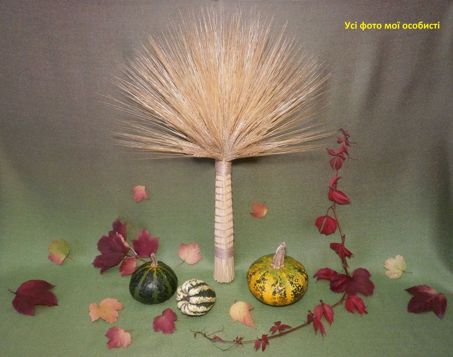 Сніп колоски пшениці, жита, ячменю. Сноп колосся. Букет із колосків