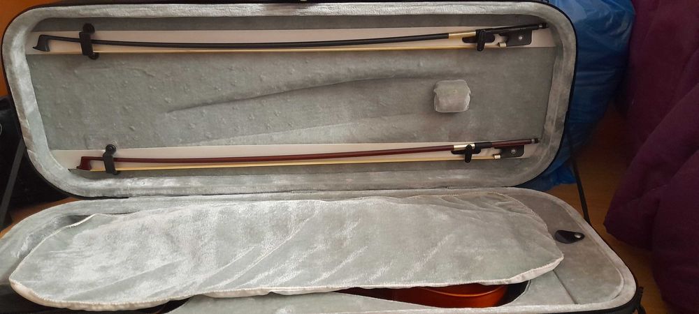 Viola d'arco NOVA64309611483137123