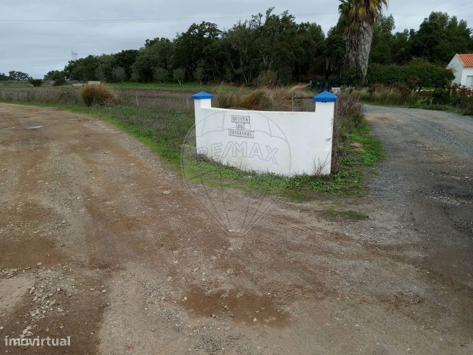 Terreno  para venda
