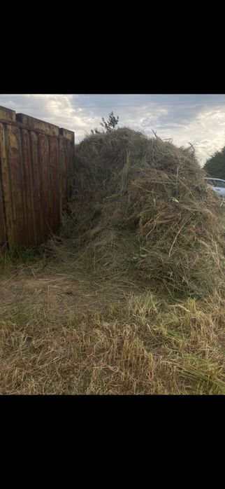 Віддам сіно безкоштовно