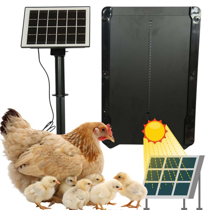 Drzwi do kurnika automatyczne solar timer czujnik zmierzchu Aluminium
