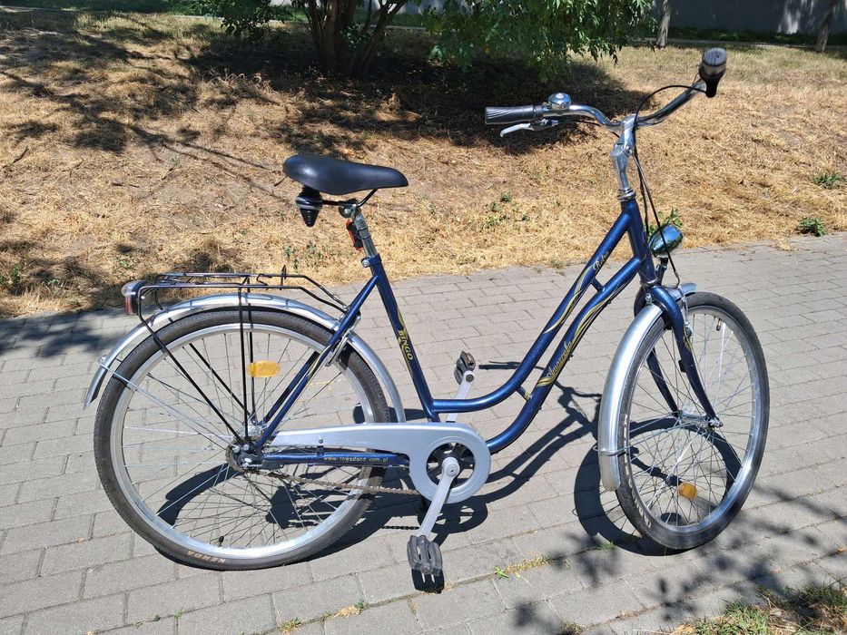 Rower damski retro