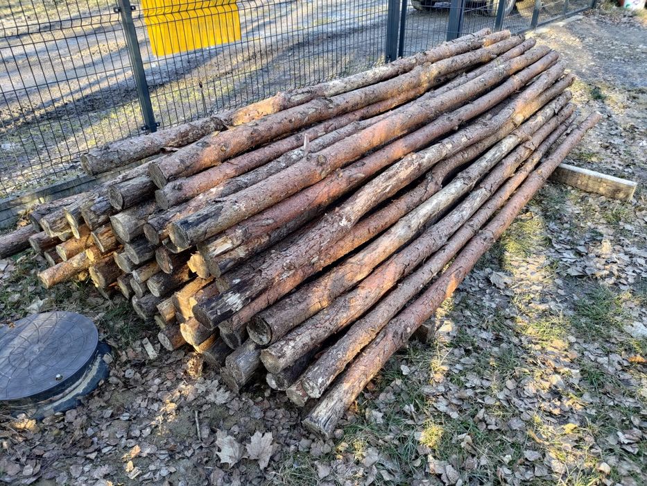 Stemple drewniane długość 300 - 330