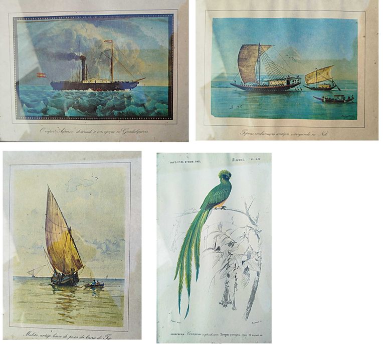 Gravura Antigas Séc. XVIII-XIX-XX