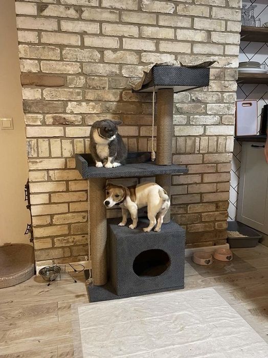 Кігтеточка  комплекс для кота