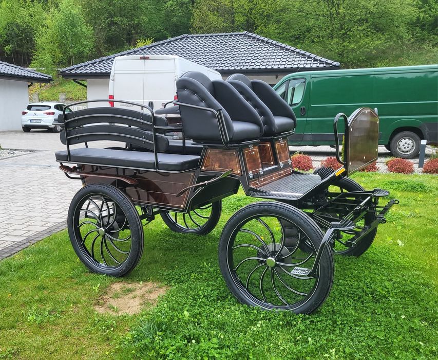 Bryczka bryczki powóz konny koń konie trasura carriage